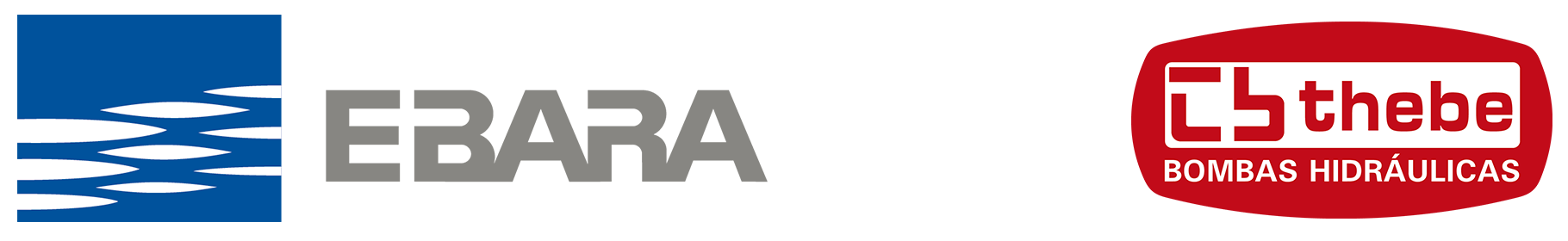 Logo Ebara